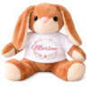 Unikatolo personalisiertes Kuscheltier Hase mit Name